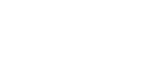 Baltimore Symphony Orchestra logo